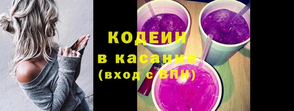 ГАЛЛЮЦИНОГЕННЫЕ ГРИБЫ Алзамай