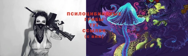 мдпв Гусев