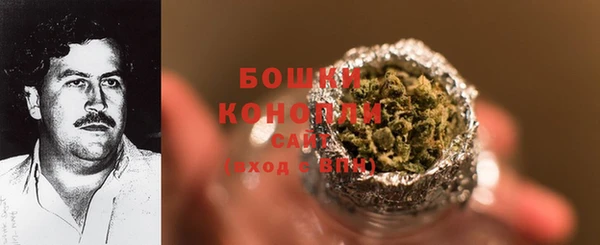 ГАЛЛЮЦИНОГЕННЫЕ ГРИБЫ Алзамай