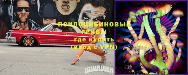 ГАЛЛЮЦИНОГЕННЫЕ ГРИБЫ Алзамай