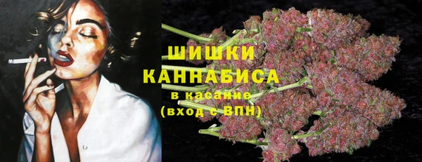 ГАЛЛЮЦИНОГЕННЫЕ ГРИБЫ Алзамай