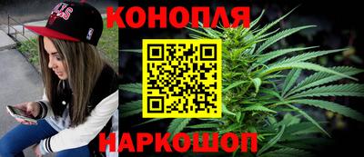 шишки Новокубанск