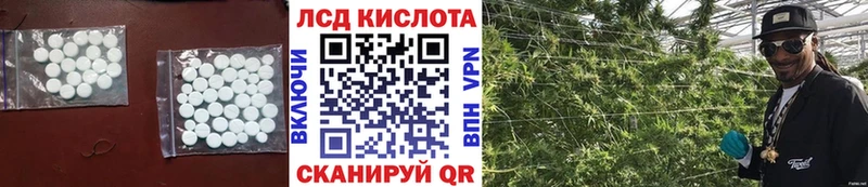 Лсд 25 экстази ecstasy  купить наркотики цена  Муравленко 