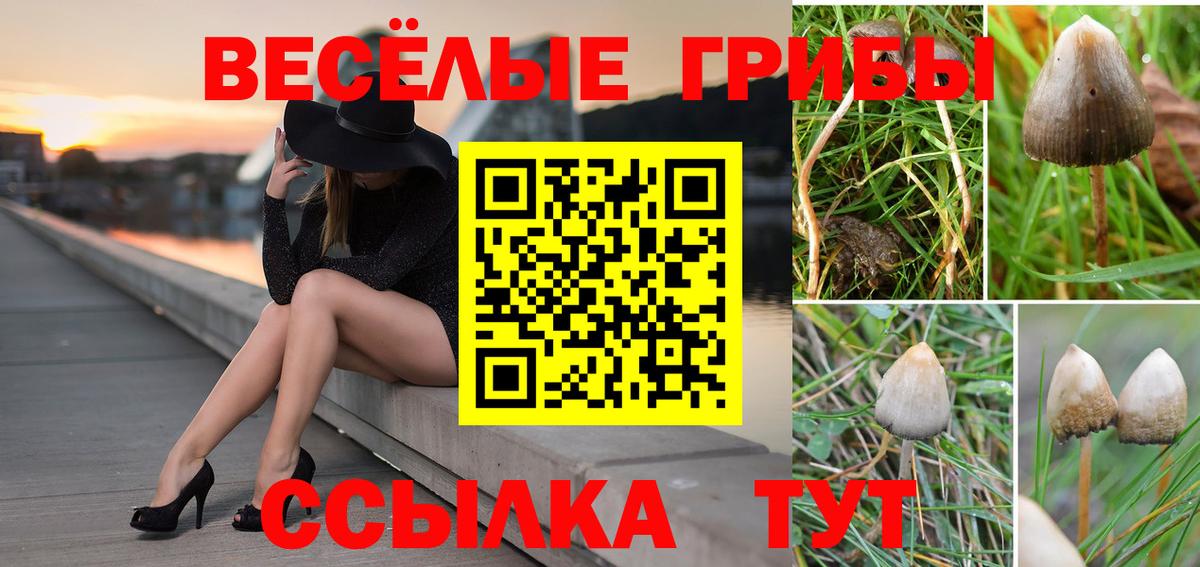 Галлюциногенные грибы ЛСД Муравленко