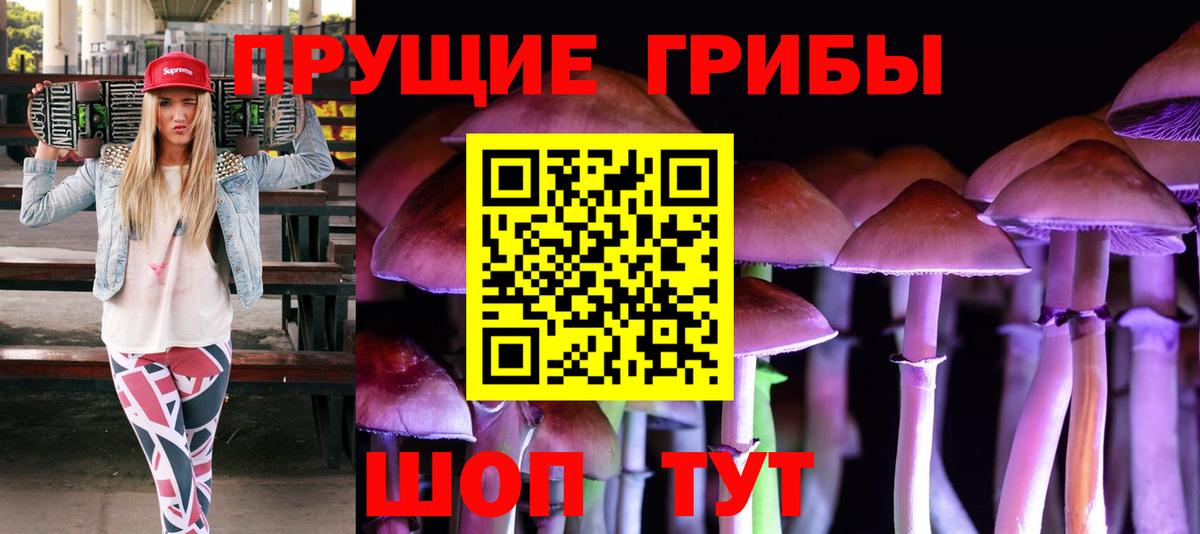 Галлюциногенные грибы Psilocybe  Вход с VPN  Галлюциногенные грибы прущие грибы  Муравленко 